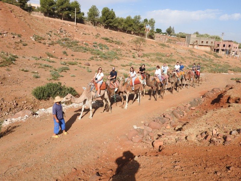 37 Escursione sull Atlante